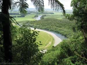 How Long Is The Manawatu Gorge Walk