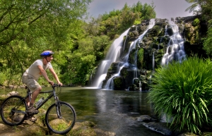 Coromandel Biking Owharoa Falls Copyright Tourism Coromandel 300 x 193