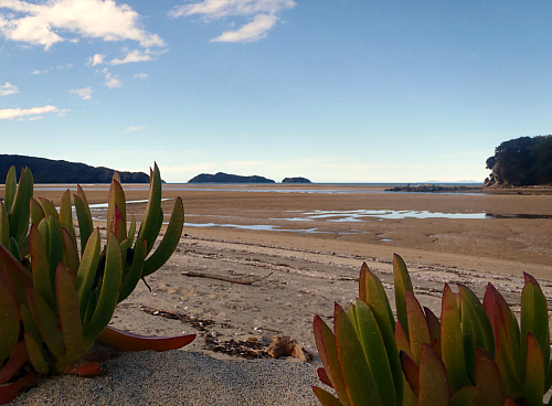 Low tide at Marahau in the Abel Tasman