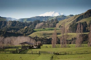 Whanganui Green Hills And Snow Courtesy wanganui.com