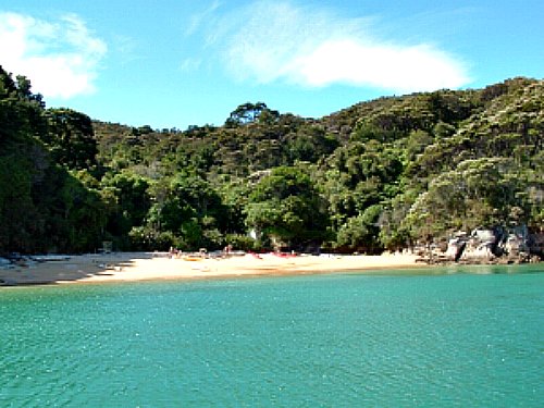 Another golden Abel Tasman beach