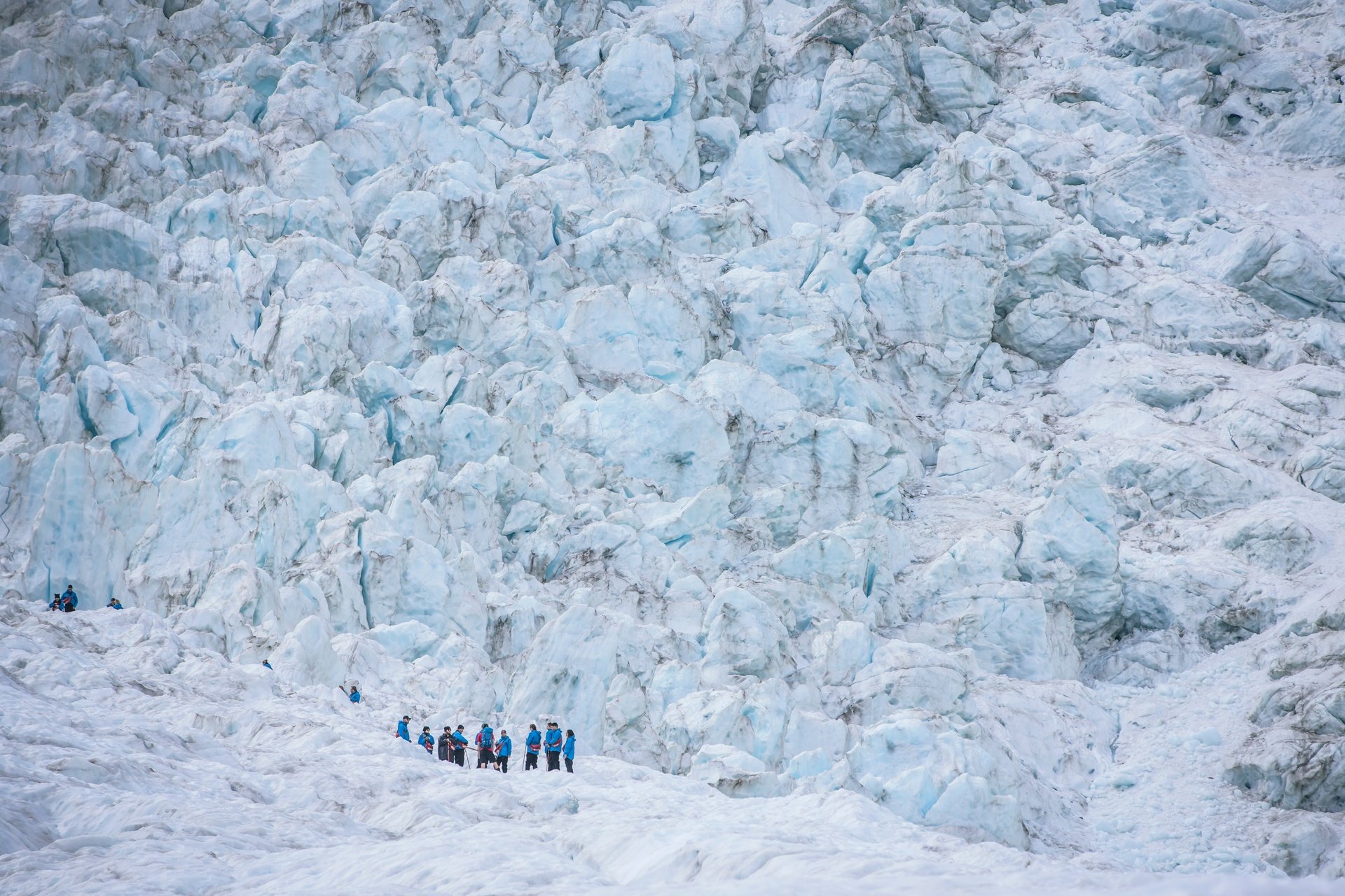 Hikers on Franz Josef Glacier. Image courtesy Miles Holden and TNZ